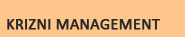 Krizni management